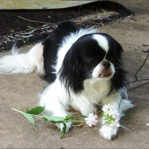 MEET YOUR POSHER! A TOP SELLER & MENTOR. - Picture 3 of 5